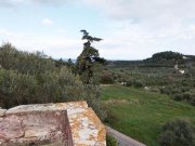 Tsivaras Kreta, Tsivaras: Schönes, restaurierungsbedürftiges Natursteinhaus zum Verkauf Haus kaufen